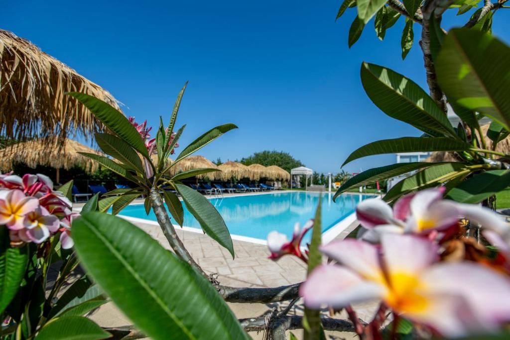 a pool at a resort with flowers in the foreground at Marina di Ragusa residence in Marina di Ragusa