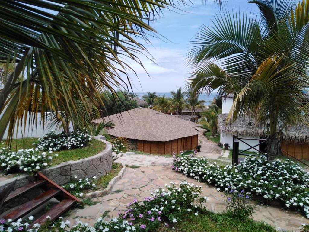 Fotografie z fotogalerie ubytování Makani Vichayito v destinaci Vichayito