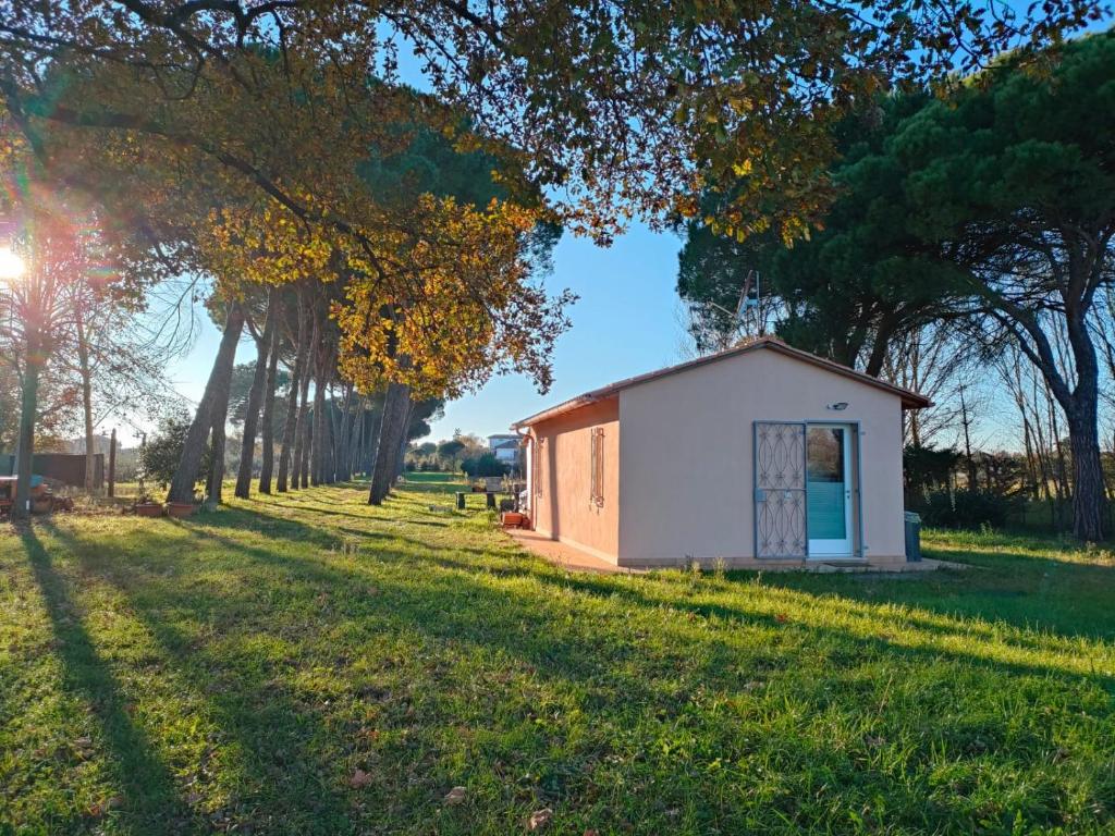 ein kleiner Schuppen auf einem Feld mit Bäumen in der Unterkunft Orizzonte - Castiglione del Lago in Piana