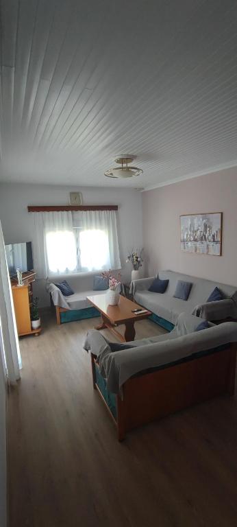 StavrákionCasaCorn的客厅里有一张沙发和一张桌子。