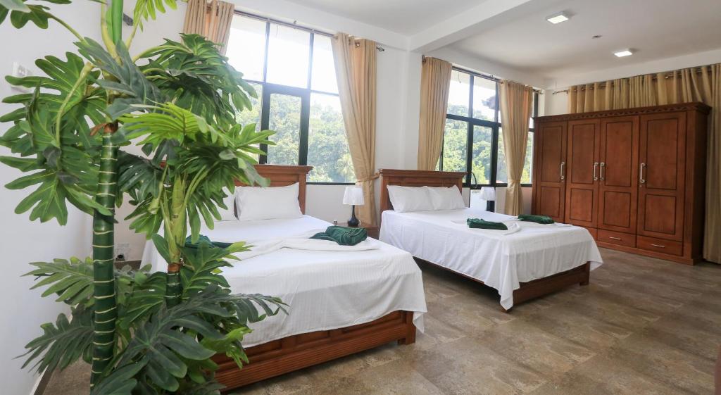 - une chambre avec deux lits et une grande usine dans l'établissement King's Court Kandy, à Kandy