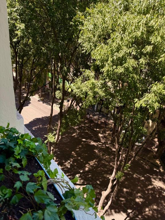 Boutique Hôtel Provencia - Resim 42