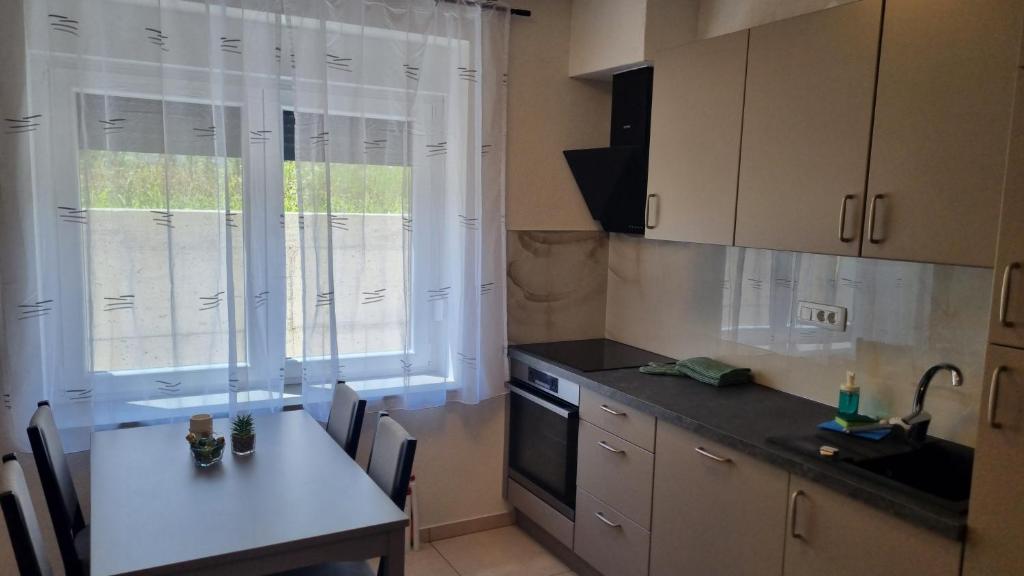 a kitchen with a table and a white counter top at Apartma Danica in Kobarid
