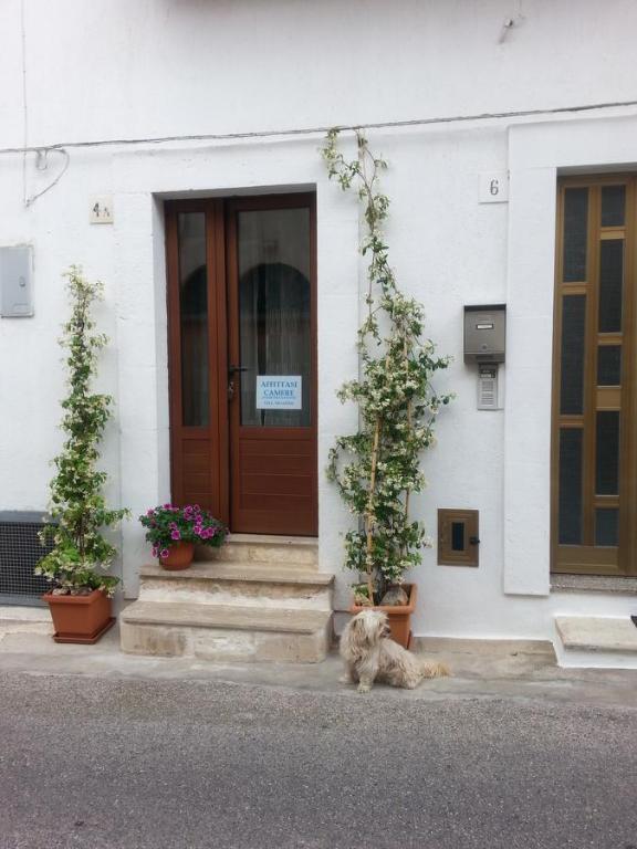 a dog laying on the sidewalk in front of a building at Nonno Angelo in Alberobello