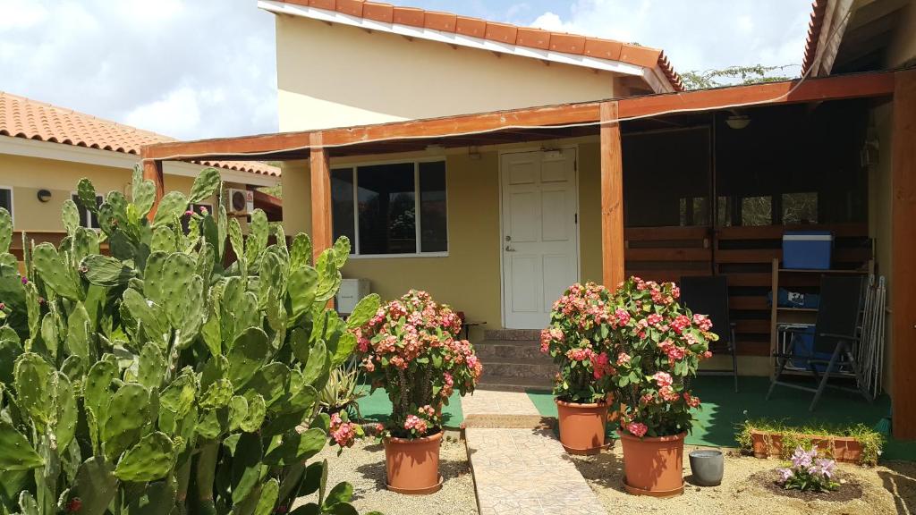 a house with potted plants in front of it at Bubali Studio in Palm-Eagle Beach