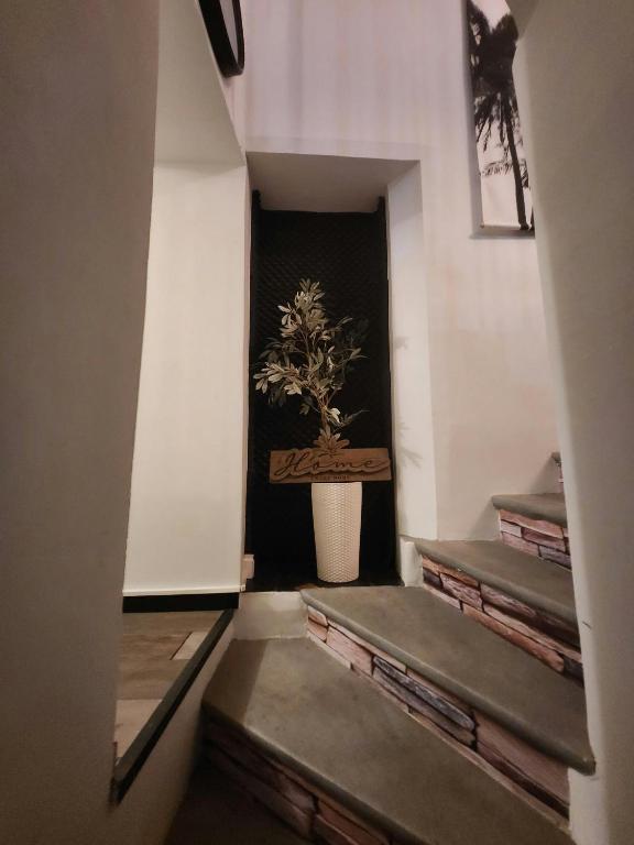 un couloir avec des escaliers et une usine sur le mur dans l'établissement Le Celeste Maison de Village avec toit terrasse, à Gréoux-les-Bains