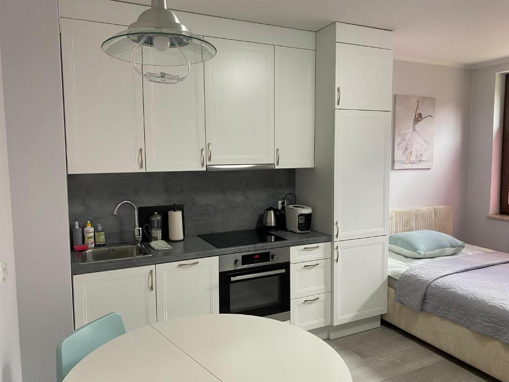 Zdjęcie z galerii obiektu Nad Wisłą w Tczewie