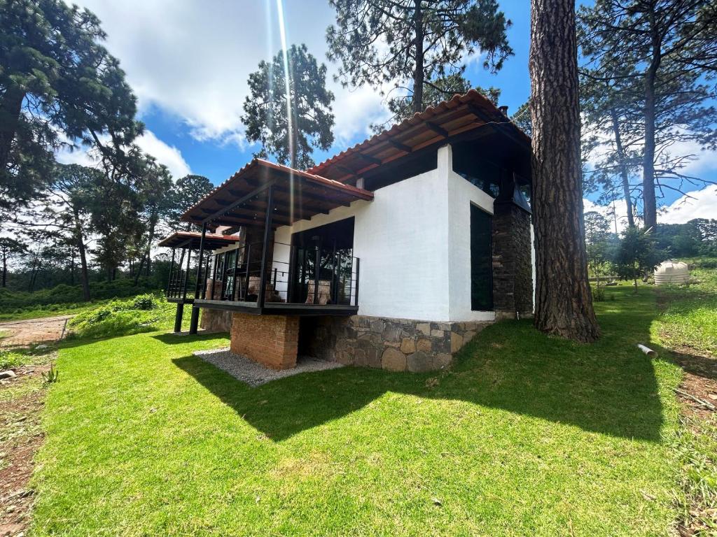 una piccola casa con un albero nell'erba di Cabaña DAGO a Mazamitla