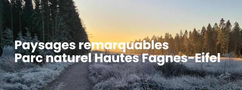 eine verschneite Straße mit den Worten Pynapses reinterpretlishespace natürliche Häuser Frequenzen in der Unterkunft Appartement équipé spacieux inoccupé 5 personnes 3ème étage sans ascenseur in Verviers