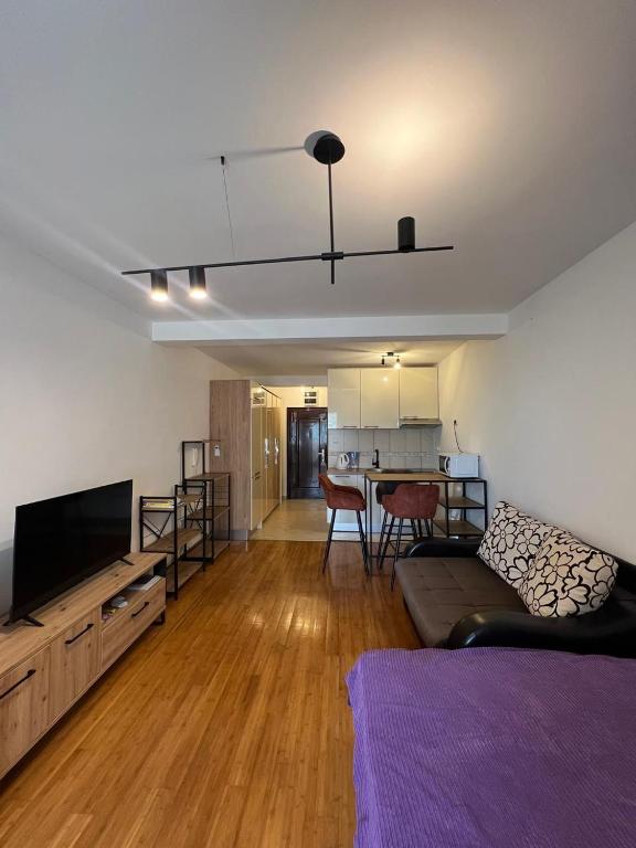 a living room with a couch and a tv and a table at PriSMi PRZNO in Pržno