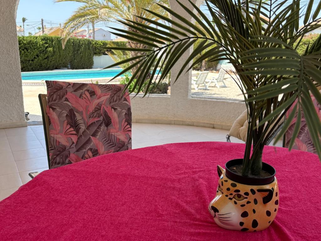 a plant in a vase sitting on a table at Ideal pool chalet WBR in La Mata