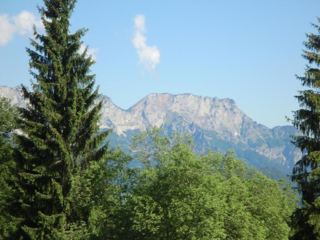 Příroda nedaleko apartmánu