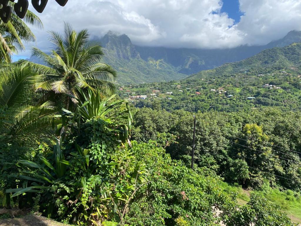 TIKI LODGE Hiva oa, Atuona — hébergement à Hiva Oa