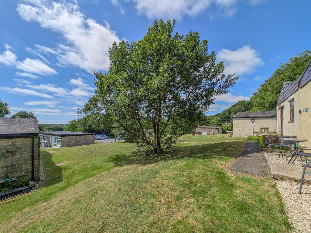 a tree in a yard next to a building at Sandy Cott in Kilkhampton
