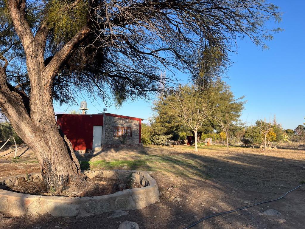 La Casa del Hornero en Chilecito