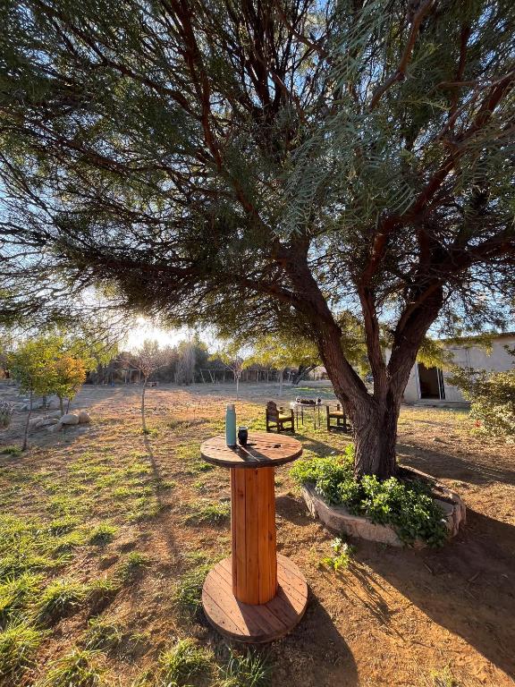 La Casa del Hornero en Chilecito