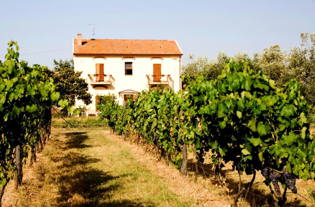Vonkajšia záhrada v ubytovaní La Pulledraia Del Podere Montegrappa