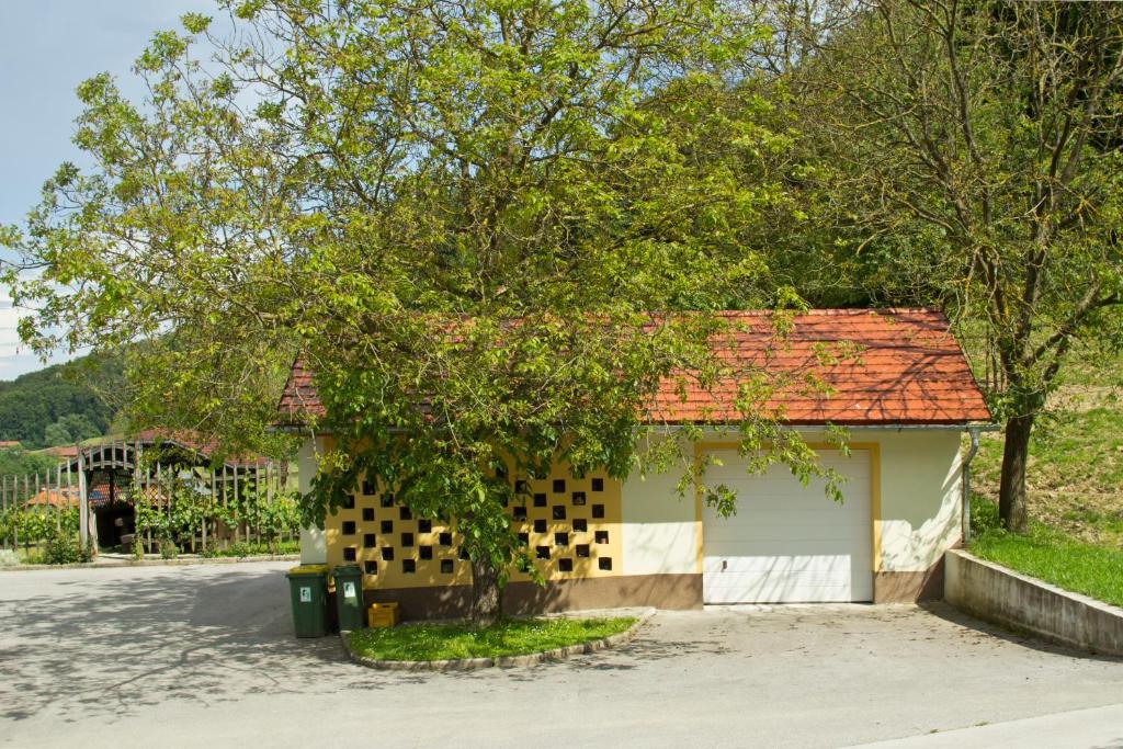 Příroda nedaleko farmy