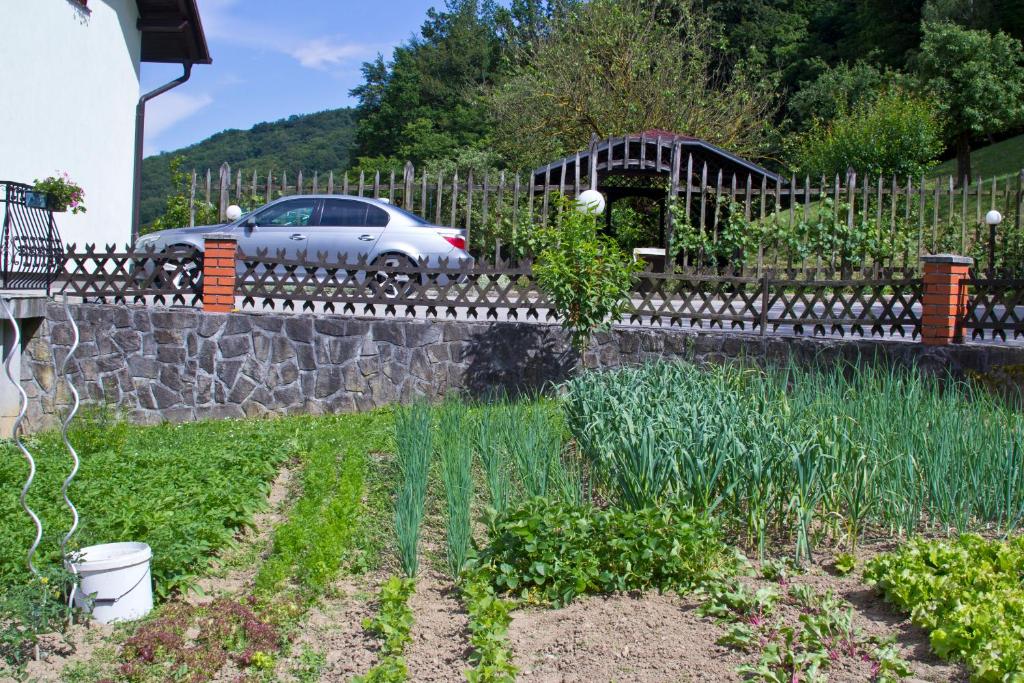 Zahrada ubytování Tourist farm Mraz