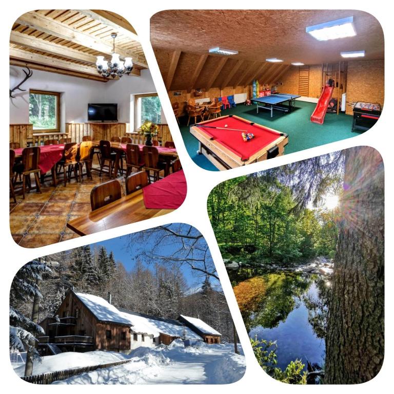 a collage of pictures of a house with a pool table at Chata Pelikán in Loučná nad Desnou