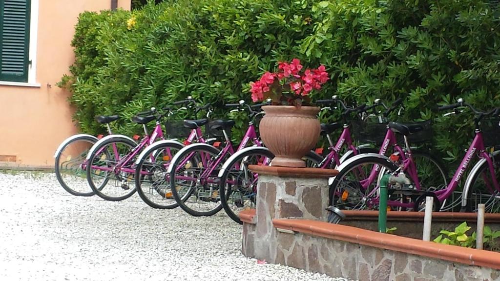 Rowery dostępne w obiekcie Hotel Bellonda lub w pobliżu