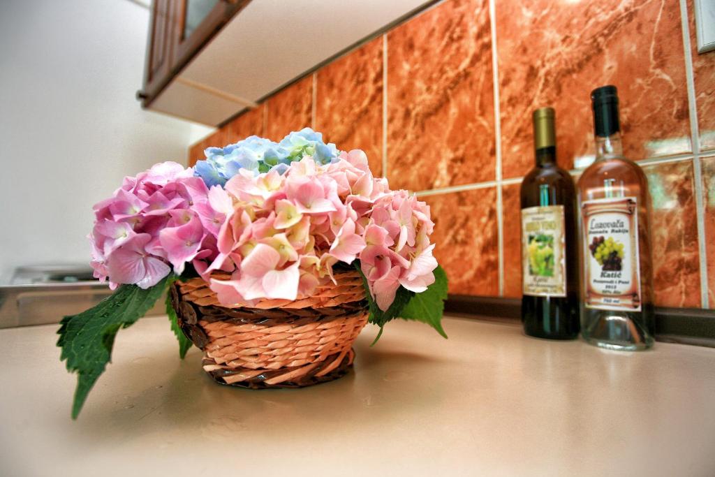 Apartments Maxi Katić - 8