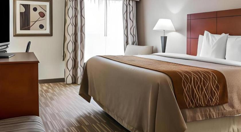 a hotel room with a large bed and a window at Comfort Inn & Suites University South in Ann Arbor