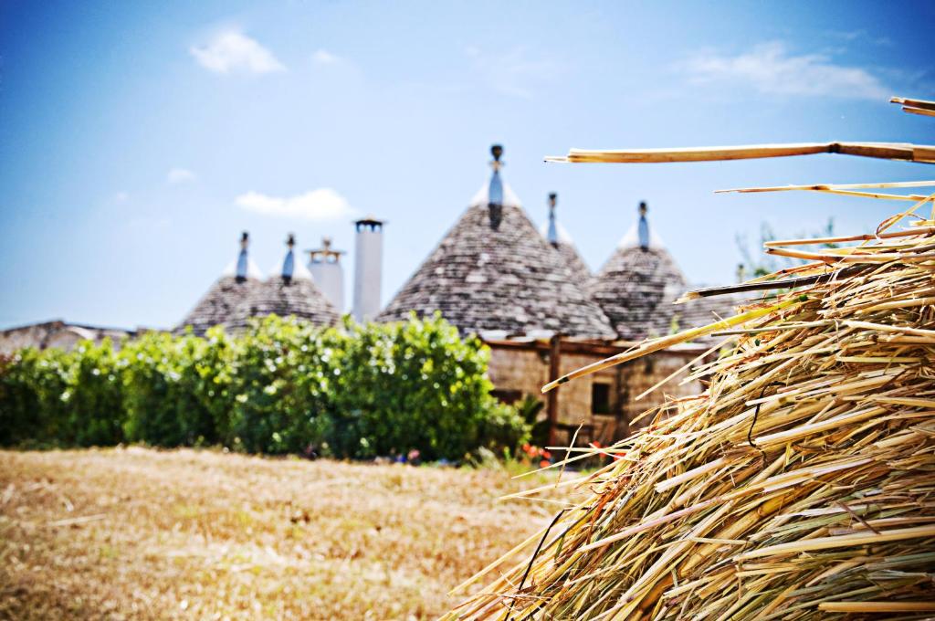 Fotografie z fotogalerie ubytování Trulli Il Castagno v destinaci Martina Franca