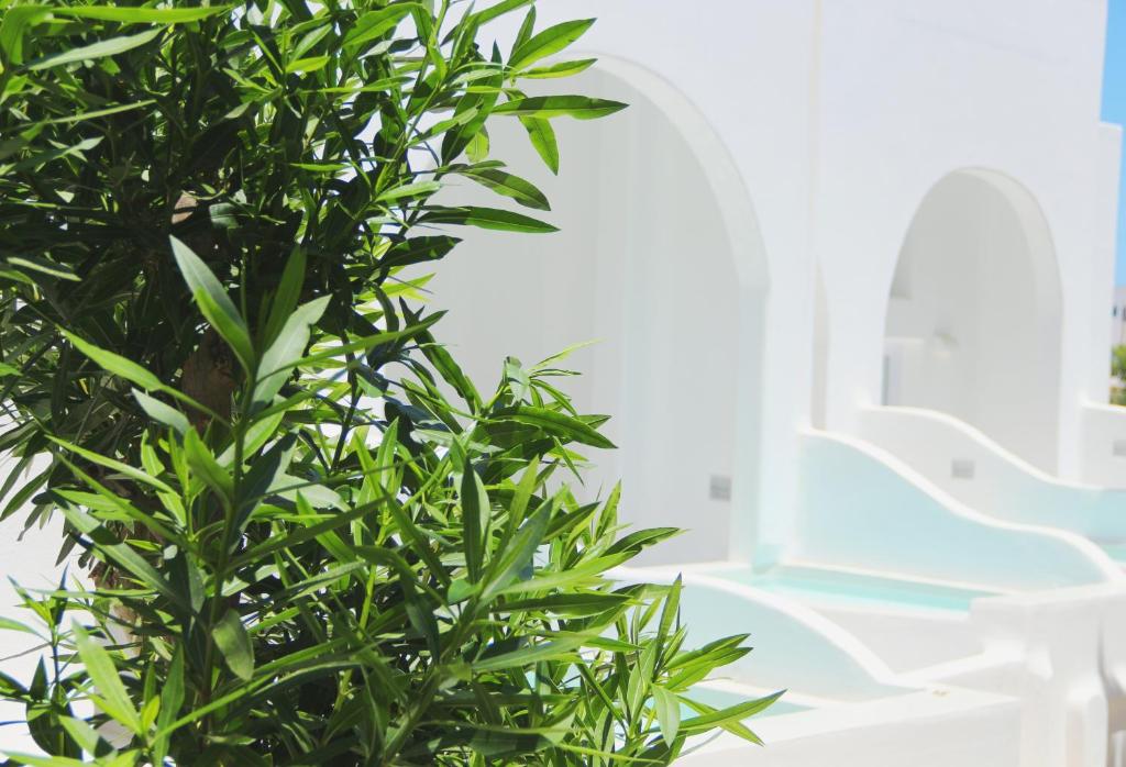 Bazén v ubytování Cavo Bianco Boutique Hotel & Spa nebo v jeho okolí