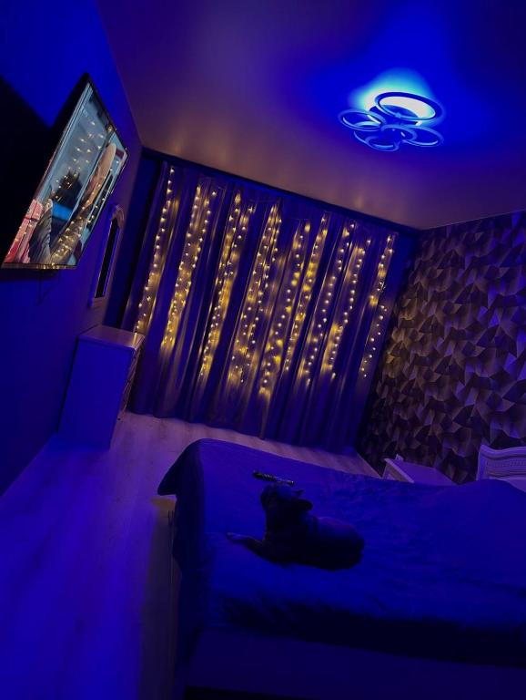 スームィにあるКвартира новострой Харьковскаяのベッドルーム1室(青いライト付きのベッド1台付)
