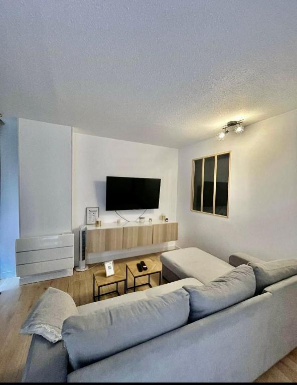 un salon avec un canapé et une télévision à écran plat dans l'établissement Appartement centre ville et Parking, à Toulouse