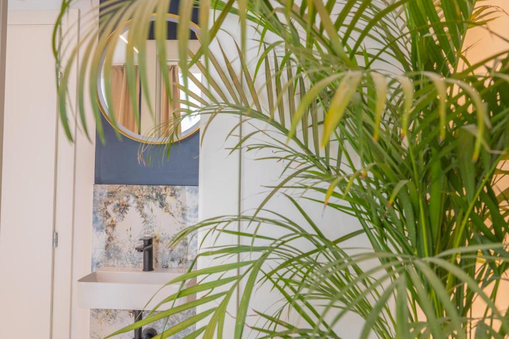 Samstag ParkZone - Resim 14