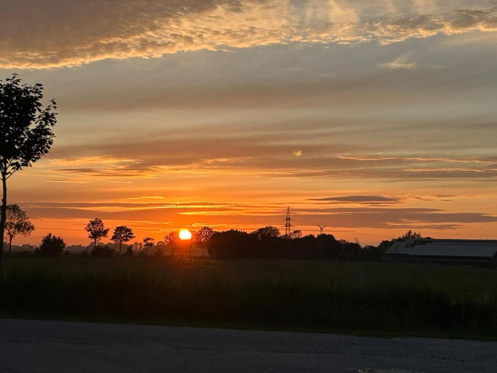 - un coucher de soleil dans un champ dans l'établissement Feriennest am Wangermeer, à Wangerland