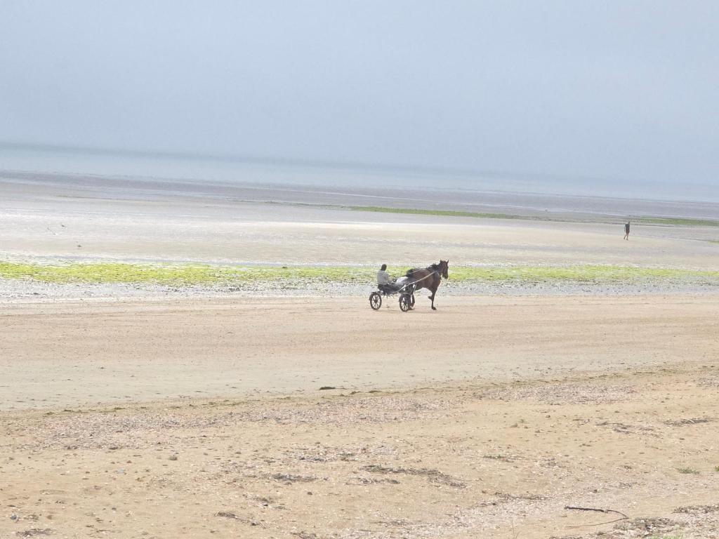 une personne effectuant une promenade en calèche sur la plage dans l'établissement Relais des îles Saint Marcouf, à Saint-Marcouf