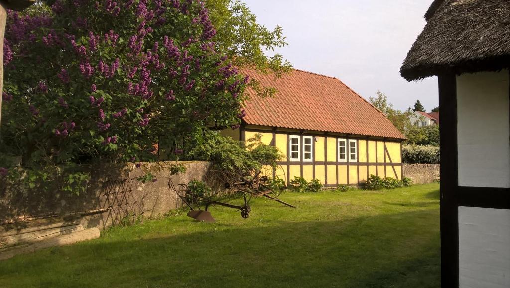 Zahrada ubytování Millinge Gamle Skole