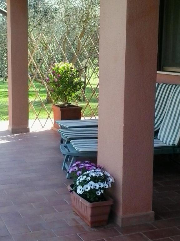 una fila de bancos sentados en un porche con flores en Agriturismo Camera dei ladri, en Marsiliana