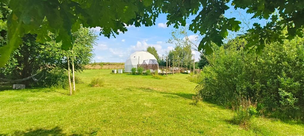 Pomysk WielkiGlamping Kaszuby的远处是一片田野，有一顶巨大的白色帐篷