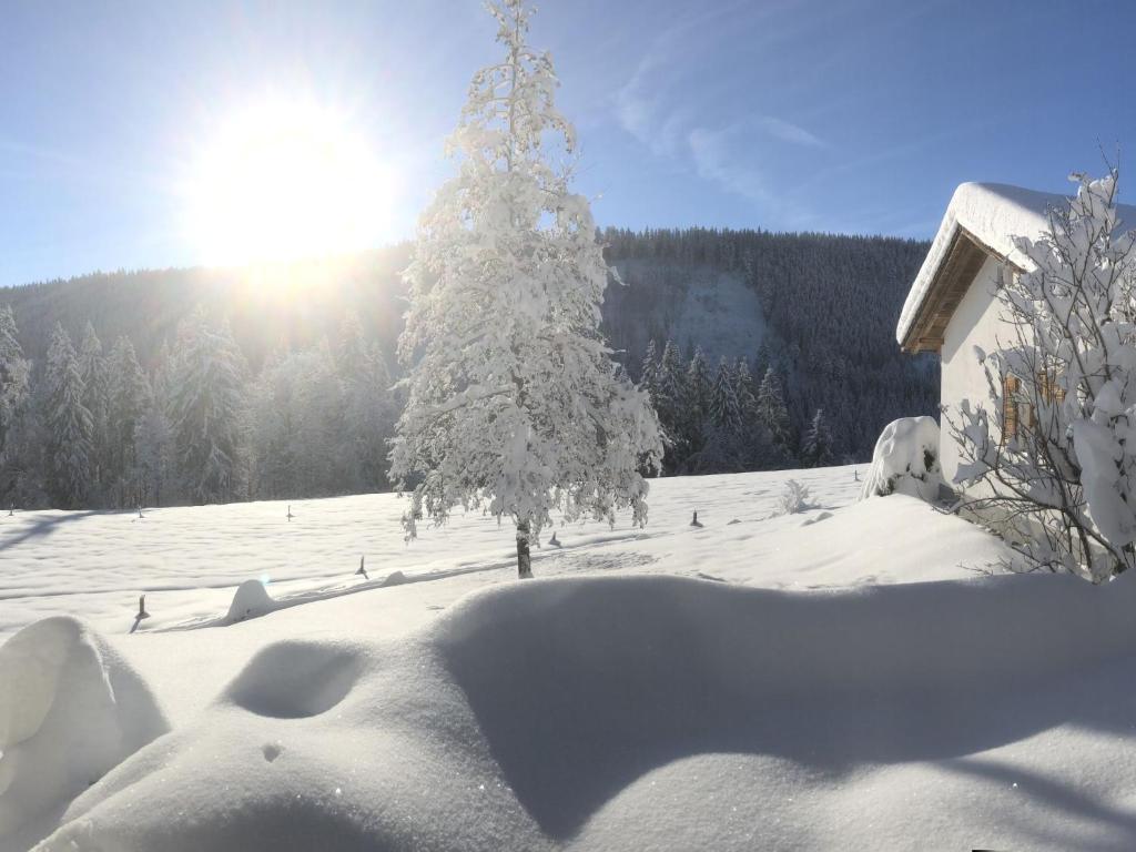 a christmas tree covered in snow in front of a building at Holiday Home Black Forest Hideaway by Interhome in Falkau
