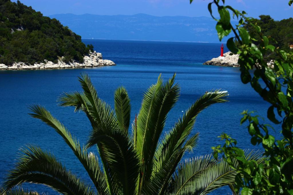 a palm tree in front of a body of water at Apartments Leo Katić in Lastovo