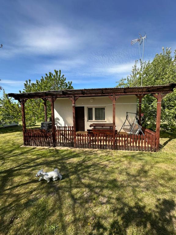 a dog laying in the grass in front of a house at Holiday - domek letniskowy 2 in Charzykowy