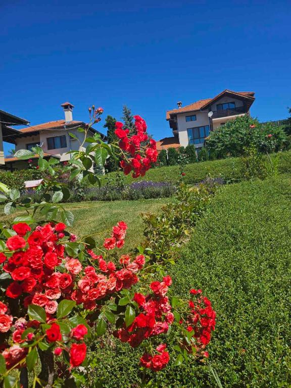 a group of red flowers in a yard with houses at Вила "Роза" in Lakarevo