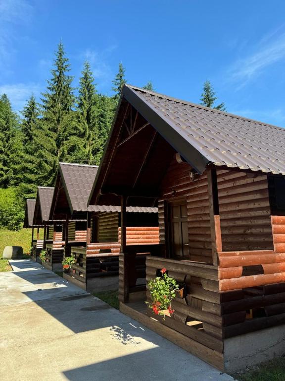 a row of log cabins in a forest at Casutele Ariesene in Arieşeni