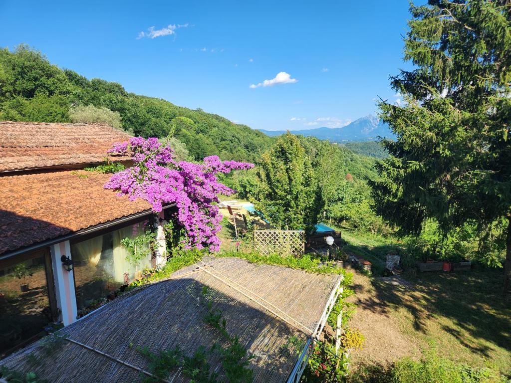 Limone e Peperoncino B&B