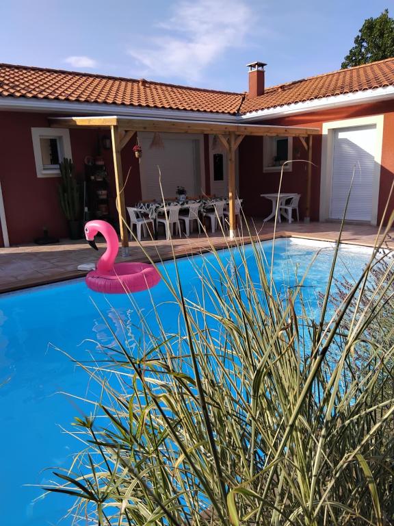 - une piscine avec un flamingo rose dans une maison dans l'établissement Maison spacieuse avec piscine et jardin, à Hourtin