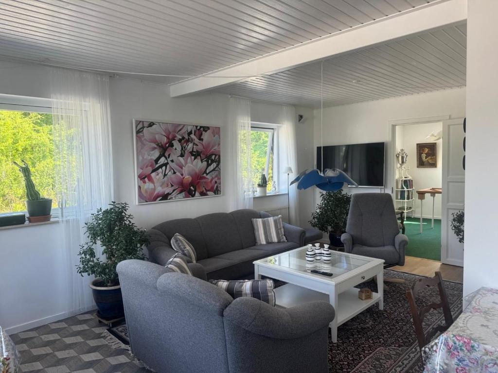 a living room with two couches and a table at Hine Bakke Bed And Breakfast in Rudkøbing