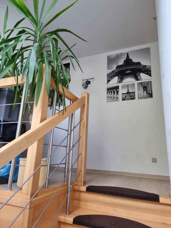 Foto dalla galleria di Pokoje na Jasełkowej a Stettino