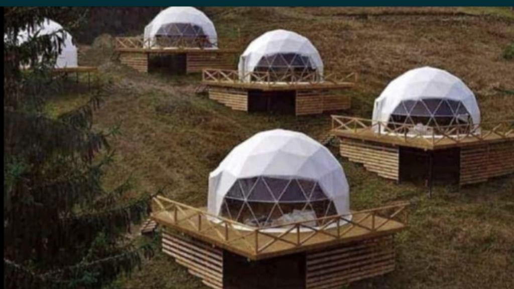 Billede fra billedgalleriet på Cartago-village i Setúbal