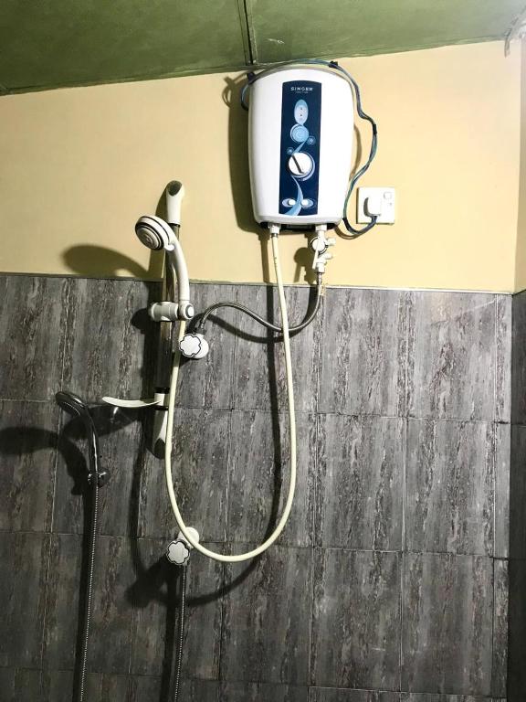 Green Bamboo House - 9