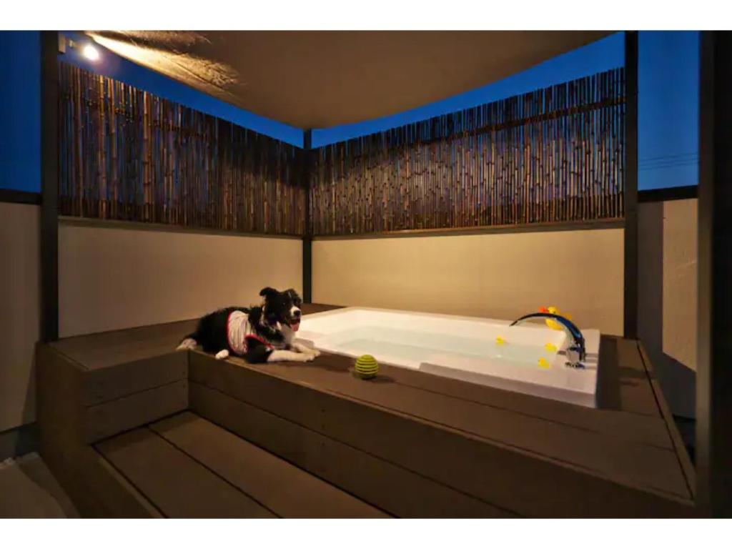 金沢市にあるIppuku - Vacation STAY 17436の部屋の浴槽に横たわる犬