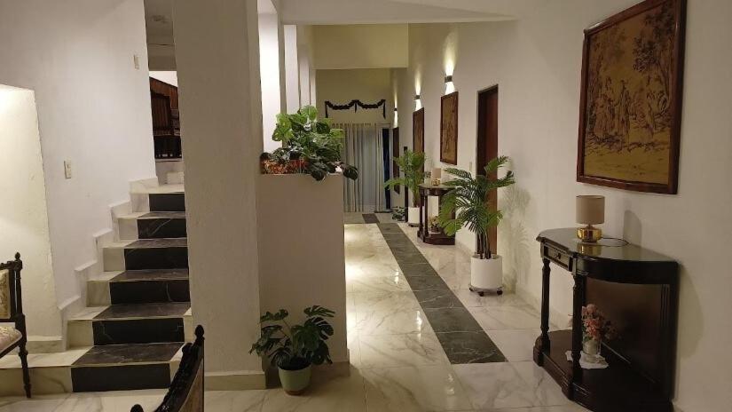 a hallway with stairs and potted plants in a building at New house with pool, excellent, 3 bedrooms in Pazulco